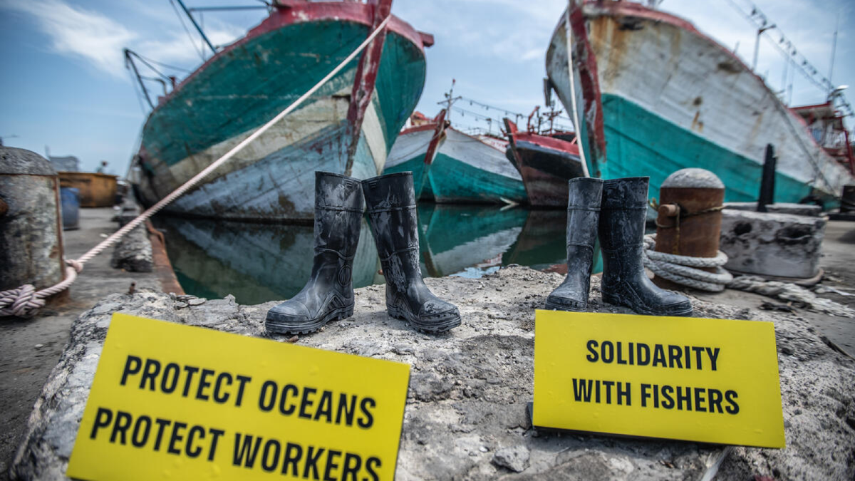 (Greenpeace.org)