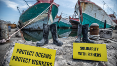 (Greenpeace.org)