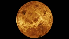 NASAの探査機マゼランとパイオニア・ビーナス・オービターの観測データを組み合わせた金星の合成画像。新たな探査では、大気や地表、内部構造から惑星の進化を調べる。（画像提供：NASA/JPL-Caltech）