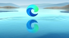 (Microsoft)