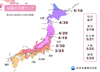 日本気象、2020年桜開花予想を発表！東京は8年連続で平年より早く、全国一番乗りで3月19日に開花に