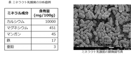 ミネラクト乳酸菌 ミネラクト乳酸菌