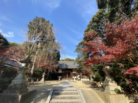 交野天神社 交野天神社