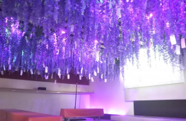 現在の状況 現在の状況