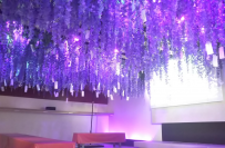 イベント 「鬼滅の刃 京ノ御仕事 弐」 嵐電嵐山駅　鬼避け「藤の花エリア」をみんなでつくろう！皆様のおかげで、まもなく完成！