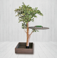 フクロウの習性と安全性に特化した「フクロウの止まり木」販売開始！