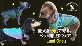 ペット用LEDウェア「Lumi One」 ペット用LEDウェア「Lumi One」