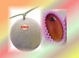 熊本県産マンゴー・アールスメロンのセット 熊本県産マンゴー・アールスメロンのセット