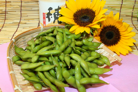 秋田県産枝豆「湯あがり娘」 秋田県産枝豆「湯あがり娘」