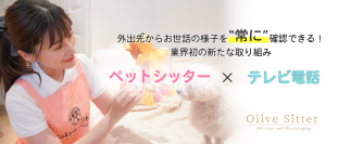 【ペットシッター×テレビ電話】お世話中の様子を常にテレビ電話で見守れる！コロナ禍で予約殺到中のオリーブシッターが新サービス「テレミル」を提供開始