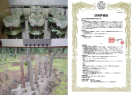 左上:試験片耐候操作状況 左下:野外暴露試験杭 右:技術評価証 左上:試験片耐候操作状況 左下:野外暴露試験杭 右:技術評価証