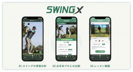 SwingX