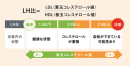 <LH比数値と血管内の状態> <LH比数値と血管内の状態>