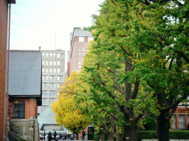 明治学院大学 白金キャンパス 明治学院大学 白金キャンパス