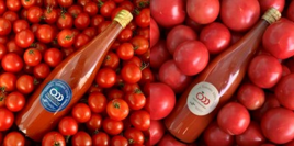 ロココトマト100％ストレートジュースを茅ヶ崎市・平塚市のふるさと納税にて12月1日に販売開始