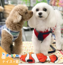 「ナイスで賞」 「ナイスで賞」