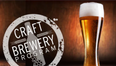 エコラボが提供する、クラフトビール醸造所向け衛生管理プログラム