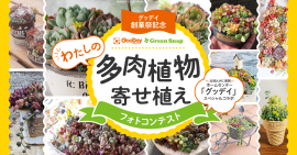 グッデイ×Greensnapコラボレーションイベント グッデイ×Greensnapコラボレーションイベント