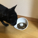 いつものごはんにふりかけるだけ いつものごはんにふりかけるだけ