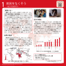 SDGsスタディパネルの例(ゴール1 貧困をなくそう) SDGsスタディパネルの例(ゴール1 貧困をなくそう)
