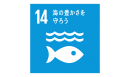 SDGs対応 海の豊かさを守ろう SDGs対応 海の豊かさを守ろう