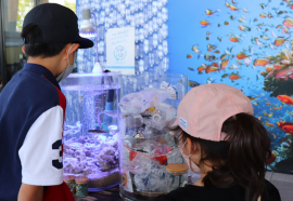 2050年海洋プラスチックごみ体験1 2050年海洋プラスチックごみ体験1