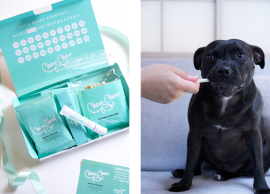 楽しく歯磨き習慣が身につく「Chew Chew」8月8日(月)新発売 楽しく歯磨き習慣が身につく「Chew Chew」8月8日(月)新発売