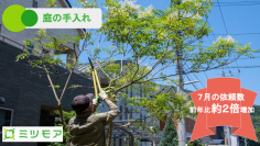 ミツモア「庭の手入れ」依頼数が前年同月比約２倍！
「庭木の剪定」を活用したご近所トラブル防止が伸びの一因に