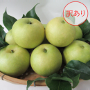 【送料無料】訳あり 二十世紀梨 3kg 3300円 ➡(クーポン利用で)2800円 【送料無料】訳あり 二十世紀梨 3kg 3300円 ➡(クーポン利用で)2800円