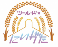 黄金色に輝く稲穂の中を自転車で駆け抜ける！イベント「ツール・ド×にいがた」開催中