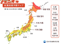 日本気象、2022年紅葉・黄葉見頃予想を発表！東京は11月29日に紅葉見頃、一部の地域では高温の影響で12月中旬頃のところも