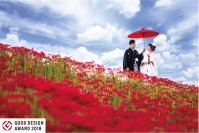 14年続く300万本の彼岸花の中で行う地域密着型結婚式　愛知県半田市で高校生の頃からの夢だった想いが現実に！