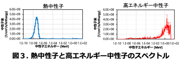 気候変動問題を解決する藻類育種技術の実証実験を開始
～中性子線照射による遺伝子変異導入で世界初となる有用藻類育種技術の確立をめざす～