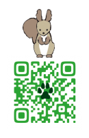 二次元コード 二次元コード