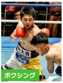 岡田 悠平 岡田 悠平