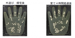 “家の中”で4時間過ごすだけで、手の菌量は“屋外”で2時間遊んだ後に匹敵！自宅内で知らないうちに手に付着する菌の増殖を石けん成分配合のハンドソープによる手洗いで抑制！
