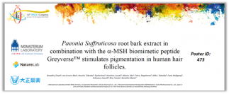 ボタンピエキスとブラックリバースペプチド１の組み合せによる白髪改善メカニズムを新たに解明