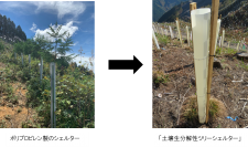 土に還る「土壌生分解性ツリーシェルター」を開発　～ＣＯ2削減と植林の省力化～
