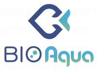 アクアリストのための観賞魚専門オンラインマーケットBIOAqua＜ビオアクア＞が12月8日にOPEN