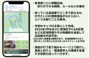 今後の展望 今後の展望