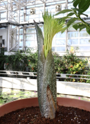 2022年11月22日撮影 2022年11月22日撮影