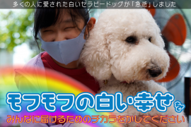 リリアルは虹の橋を渡りました(1) リリアルは虹の橋を渡りました(1)