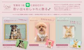 商品ラインナップ。