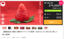 糖度と酸味のバランスが抜群！見た目も美しい奈良県産苺“古都華”がMakuake目標金額124％を達成！2月20日まで実施