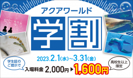 キービジュアル キービジュアル