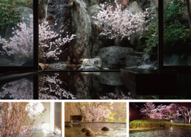 花見温泉イメージ(上から時計回りで:界 伊東、界 鬼怒川、界 遠州、界 松本) 花見温泉イメージ(上から時計回りで:界 伊東、界 鬼怒川、界 遠州、界 松本)