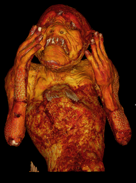 図9:人魚上半身の3D再構成画像 図9:人魚上半身の3D再構成画像