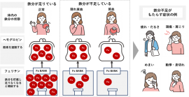 図１　鉄分不足の体内状況と症状