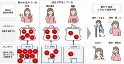 弘前大学・京都大学との共同研究で健康ビックデータから『女性のメンタル不調』に『鉄分不足』が関係していることを確認