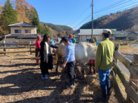 他力サムガ、全く新しい学習の場で「ただ生きる力」を身につけビジネスへつなげる『研修生』の募集開始！